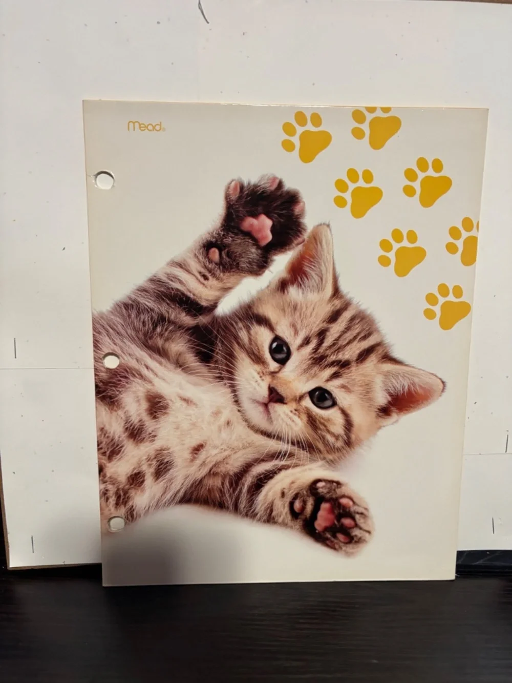 Cat/ Kitten Folder Bundle